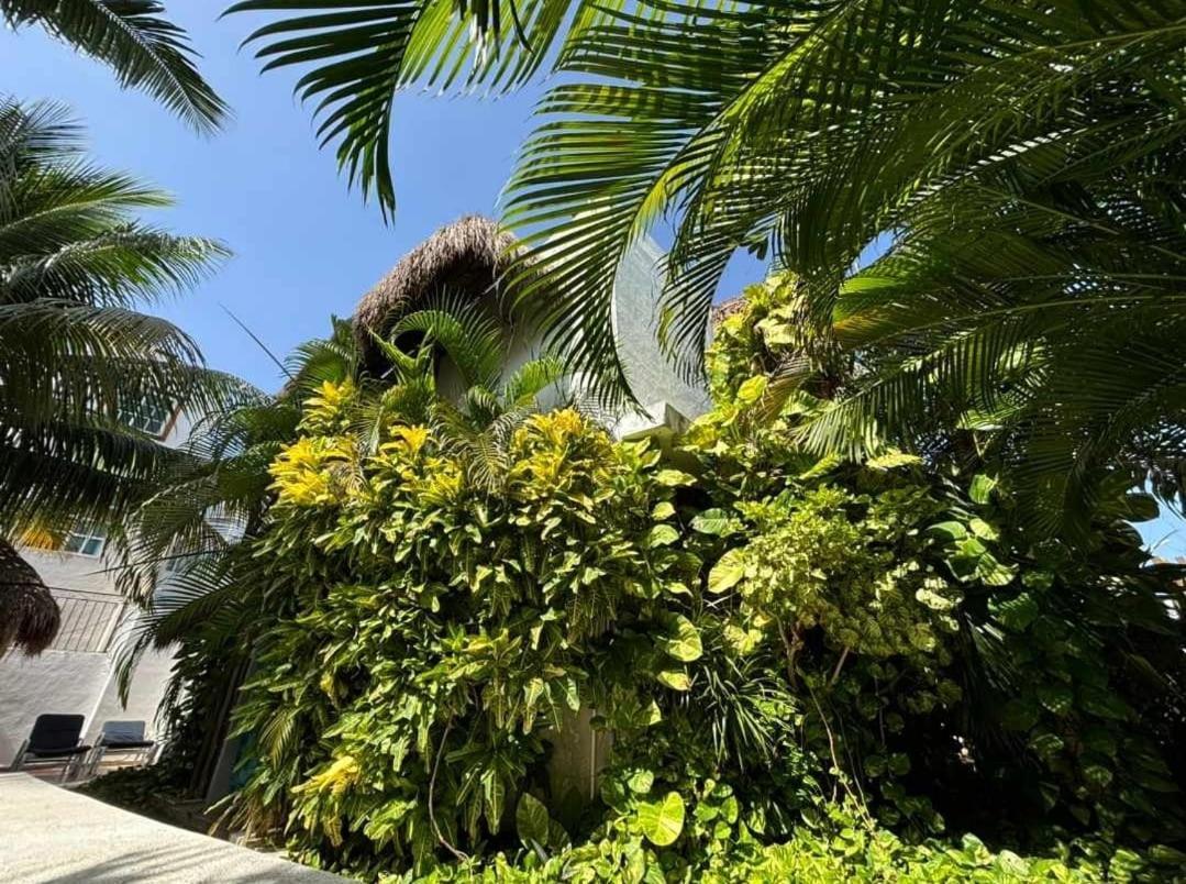Apartamento Casa Nona Rosa Cancún Exterior foto